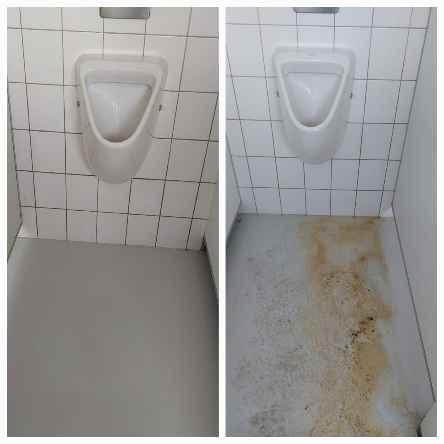 wc's